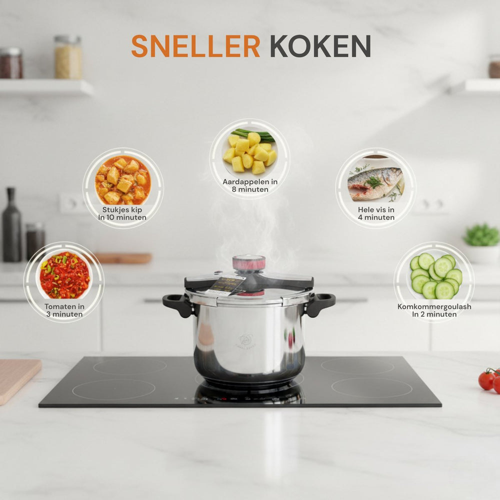 10L Pressure Cooker Clips