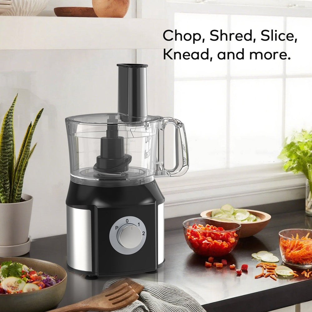 10-in-1 Food Processor