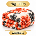 2 kg – 1 velo